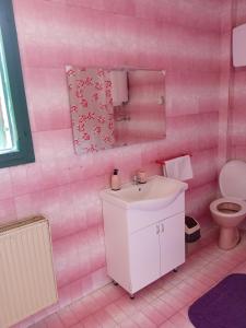 ein rosafarbenes Bad mit einem Waschbecken und einem WC in der Unterkunft Vila Zeković in Donji Milanovac