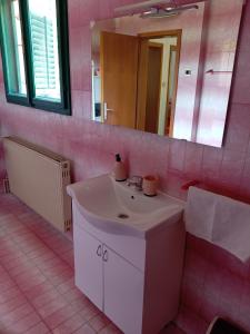 Baño rosa con lavabo y espejo en Vila Zeković, en Donji Milanovac