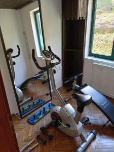 un gimnasio con 2 bicicletas estáticas en una habitación en Vila Zeković, en Donji Milanovac