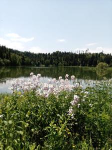 Paesaggio naturale nelle vicinanze dell'affittacamere