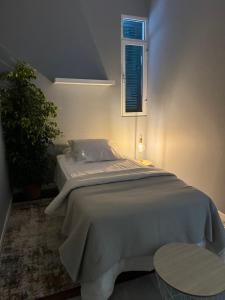 ein Schlafzimmer mit einem Bett, einer Pflanze und einem Fenster in der Unterkunft Residencial Funchal in Funchal