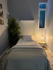 ein Schlafzimmer mit einem Bett, einer Pflanze und einer Lampe in der Unterkunft Residencial Funchal in Funchal