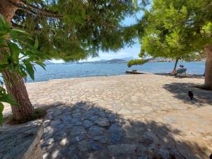 Φυσικό τοπίο κοντά σε αυτό το διαμέρισμα +32 φωτογραφίες
