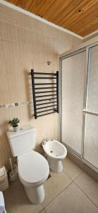 卡維爾圭的住宿－Nothofagus，浴室配有白色卫生间和盥洗盆。
