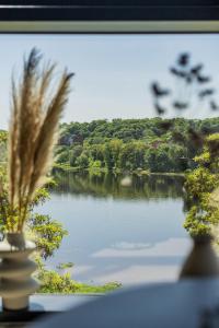 a view of a lake from a window at Kaunorama Riverside Suite in Kaunas