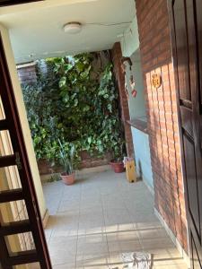 ein Flur mit einer grünen Wand mit Topfpflanzen in der Unterkunft La Rosa in Santiago del Estero