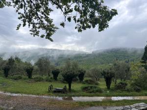 Príroda v okolí apartmánu