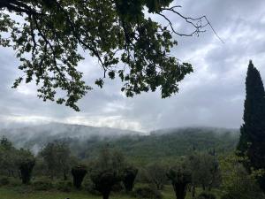 Príroda v okolí apartmánu