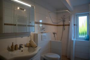 uma casa de banho com um lavatório, um WC e uma janela. em Ferienhof Kruse Wohnung Nr 7 em Grömitz