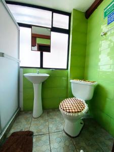 a green bathroom with a toilet and a sink at Hostal El Oro in Baños