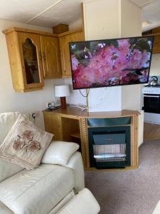 a living room with a couch and a flat screen tv at Bay View Hawkins Battery Holiday park in Kingsand