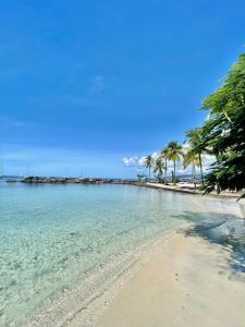 una spiaggia con palme e l'oceano di Appartement Frida de la Marina a Les Trois-Îlets