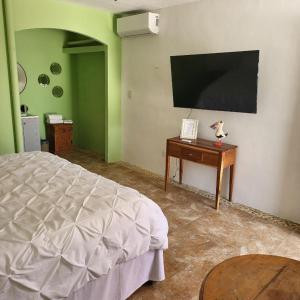TV a/nebo společenská místnost v ubytování Pelican Inn at Las Dunas Chelem