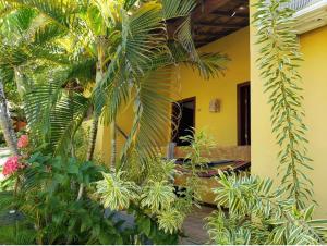 a room with palm trees and a yellow building at Pousada Bichelenga in Imbassai