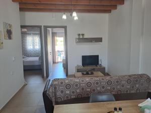 a living room with a couch and a tv at Arismari Apartments in Zíros