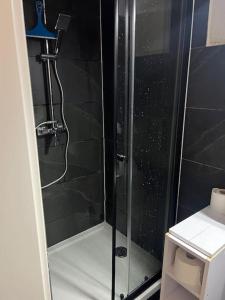 a shower with a glass door in a bathroom at Somptueux Studio à Unterheinriet in Untergruppenbach +6 photos