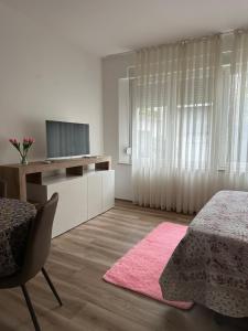 Monolocale Pordenone centro في بوردينوني: غرفة نوم بيضاء مع سجادة وردية وتلفزيون