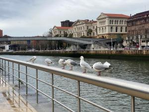 a group of birds standing on a rail near the water at Apartamento Moderno Centro Bilbao in Bilbao +3 photos