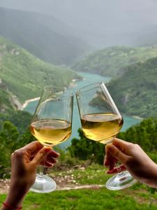 two people holding up glasses of white wine at Rural Resort Tron in Pluzine