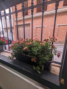 um peitoril de janela com um ramo de flores nele em Alojamiento 13 Jotas em Iniesta