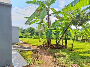 Zahrada ubytování Kwetu Home - Sagana PAY BEFORE ARRIVAL