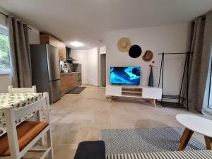 TV/Unterhaltungsangebot in der Unterkunft Villa HAUS NIKO