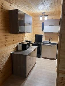a kitchen with a stove and a sink in it at Cabana Laica, România in Petrila