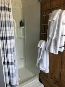 a bathroom with white towels on a shower curtain at Hill Street Hangout in Picton