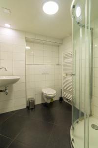uma casa de banho com um WC, um lavatório e um chuveiro em Holiday Home Eekhoornbosch em Otterlo
