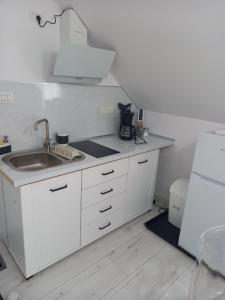 a white kitchen with a sink and a refrigerator at Casa de vacanta in Geoagiu Băi