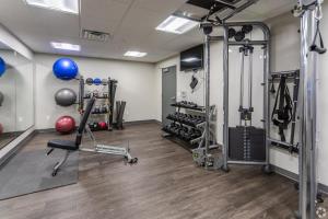 uma sala de fitness com um ginásio com pesos e equipamento em 2 Bedroom Brand New Apartment Near Mayo, Park Free em Rochester