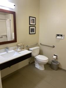 a bathroom with a toilet and a sink and a mirror at Comfort Inn Greenville I-65 in Greenville