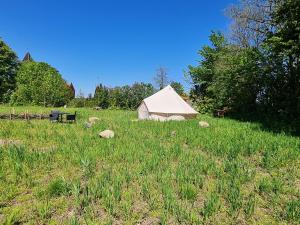 ein Zelt in der Mitte eines Feldes in der Unterkunft Naturlig Viis in Øster Ulslev
