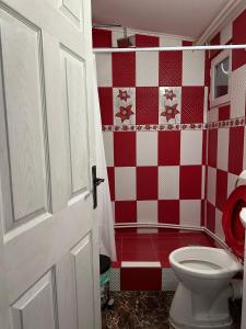 a bathroom with a toilet and red and white tiles at Pensiunea Alessia Murighiol in Murighiol