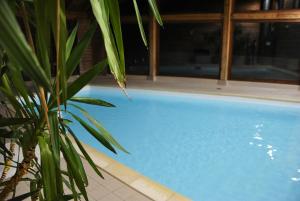 una piscina azul con una planta al lado en La Berangere, en Chamrousse
