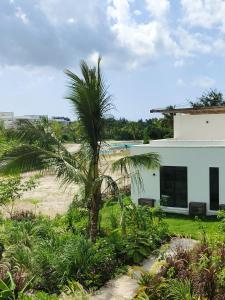 una palmera frente a un edificio blanco en SK Stay-Condo in The Soul with private terrace 300m Paje Beach, en Paje