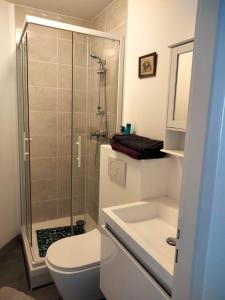 une salle de bains avec douche, toilettes et lavabo dans l'établissement Studio à côté de la plage, à Hendaye