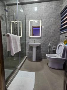a bathroom with a toilet and a sink and a shower at Genesis Grid Homes - Petra in Lekki +13 photos