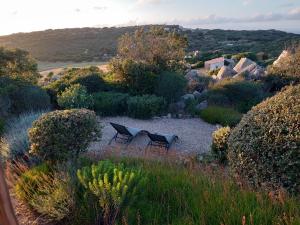 サンタ・テレーザ・ガッルーラにあるLa Cera Farm Camping B&Bのギャラリーの写真