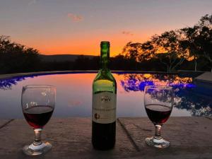 een fles wijn en twee glazen op een tafel bij Tholo Private Game Lodge in Bela-Bela