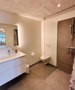 a bathroom with a shower and a sink and a toilet at Faroe Stay Apartments, No.1 in Hoyvík