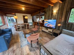 salon z niebieską kanapą i telewizorem w obiekcie Hogar de Montaña w mieście Villa La Angostura