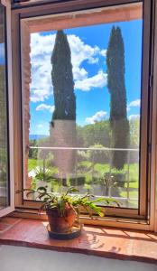 A balcony or terrace at Agriturismo Podere Le Palaie