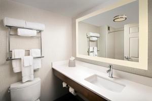 y baño con lavabo y espejo. en Holiday Inn Express & Suites Baltimore - BWI Airport North, an IHG Hotel en Linthicum Heights