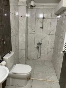 a bathroom with a shower with a toilet and a sink at Anatolia SUITE APART in Bostancı