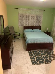 1 dormitorio con 1 cama, vestidor y TV en Jamaica Villa By The Sea, en Saint Mary