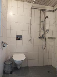 a bathroom with a toilet and a shower at Lainela puhkeküla in Käsmu
