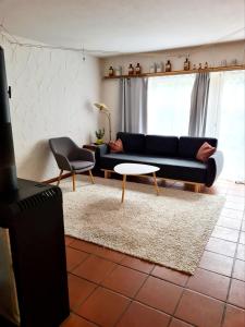 a living room with a couch and a table at Ferienwohnung Till in Mölln