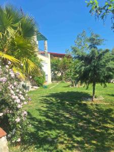 Κήπος έξω από το Seaside Green Villa