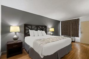 オーランドにあるAmericas Best Value Inn Orlando, FLの大きなベッドと窓のある寝室